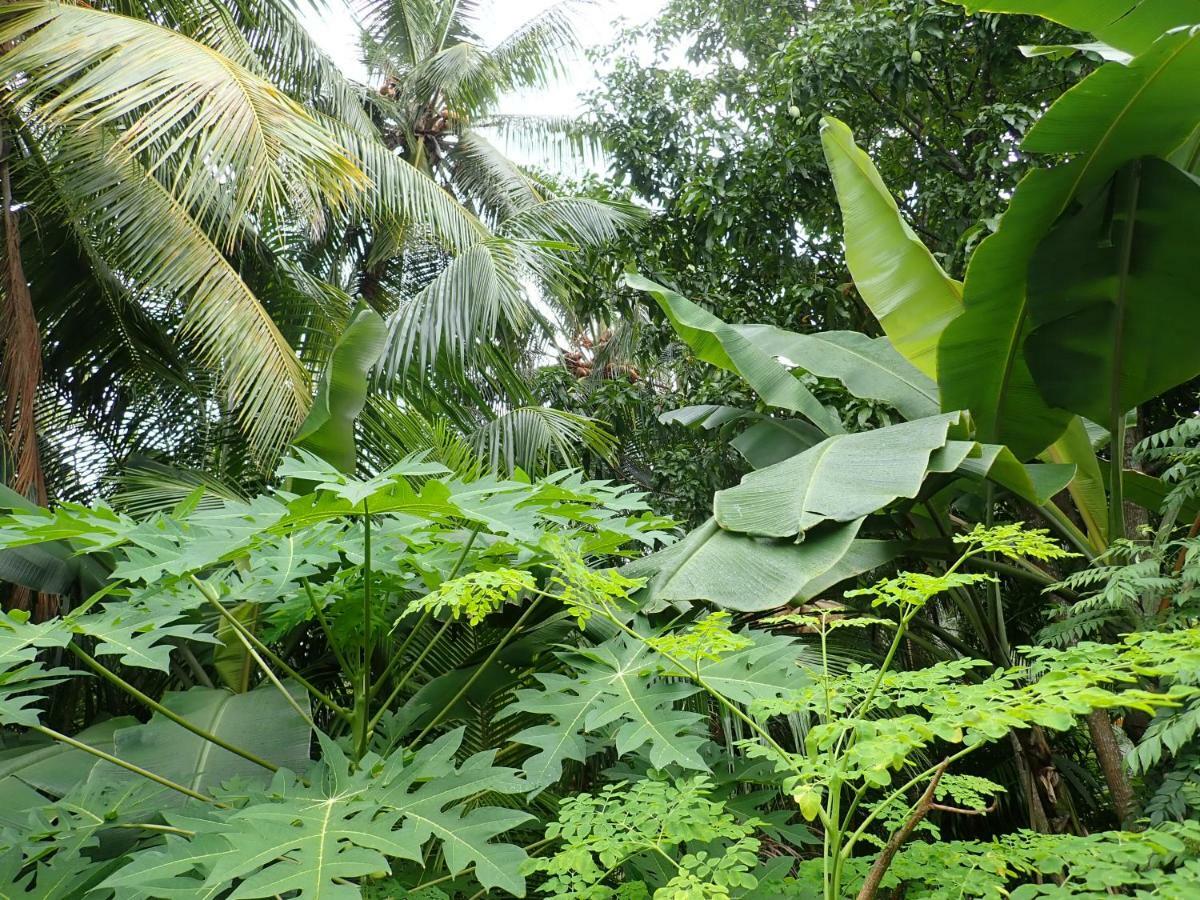 Fuvahmulah Inn Extérieur photo