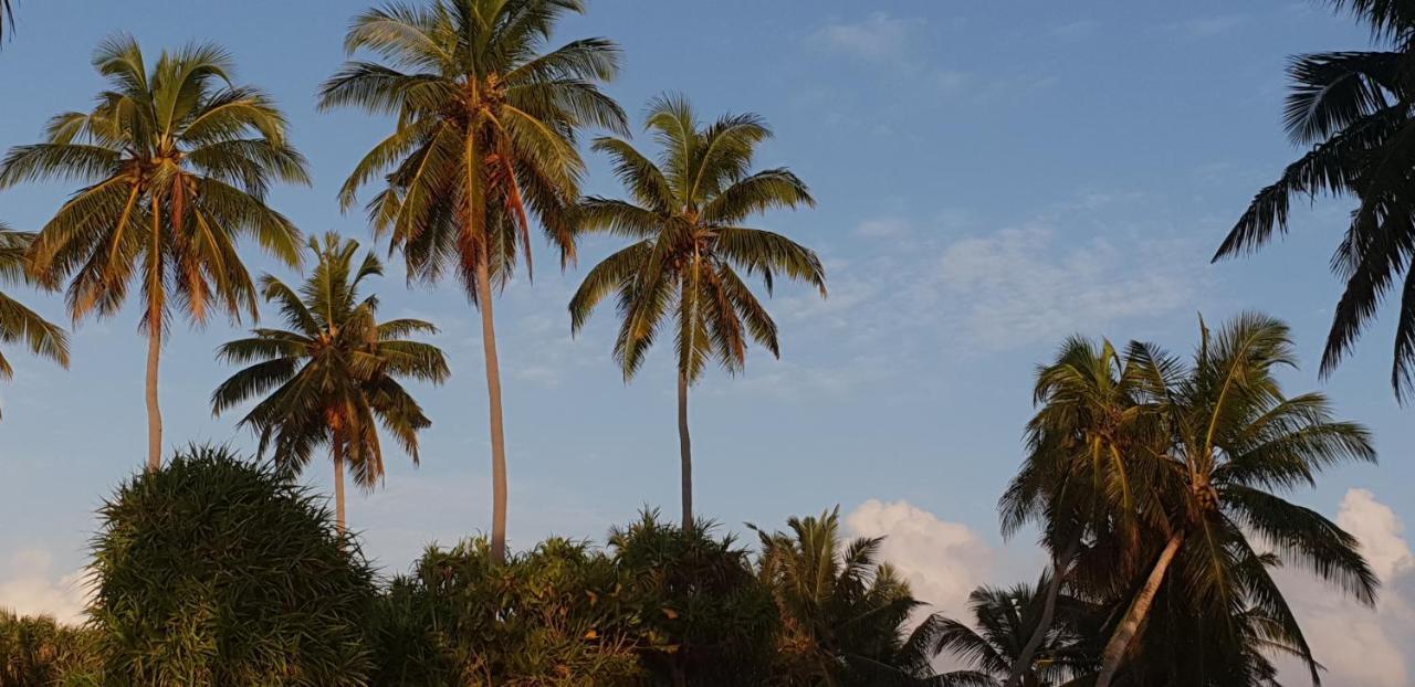 Fuvahmulah Inn Extérieur photo